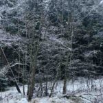 Finland - december-2